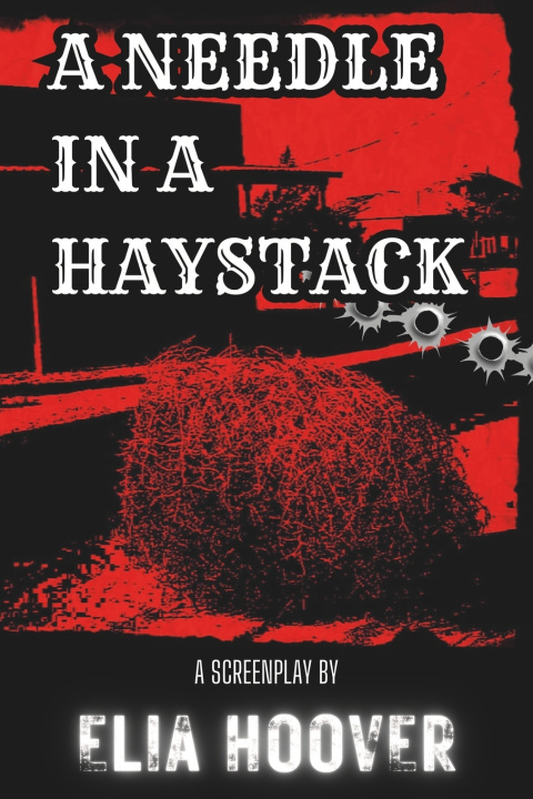 Book A Needle In A Haystack Elia Hoover