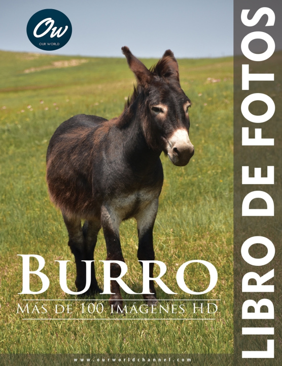 Book Burro A Arelt
