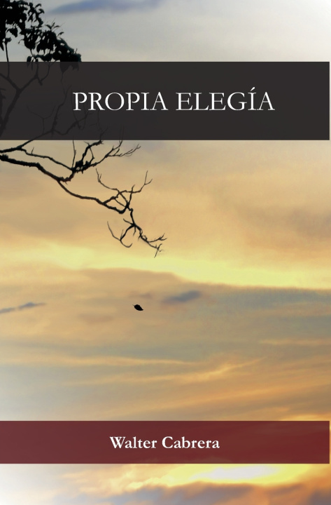 Book Propia Elegía Walter Cabrera