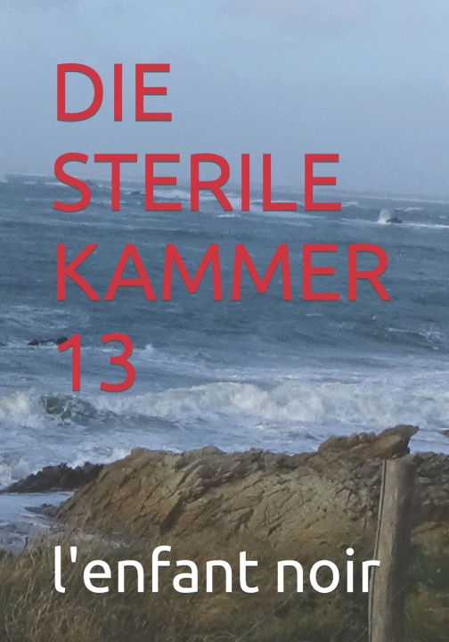 Kniha DIE STERILE KAMMER 13 l'enfant noir