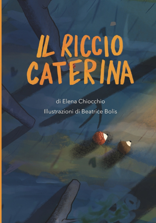Knjiga Il Riccio Caterina Elena Chiocchio