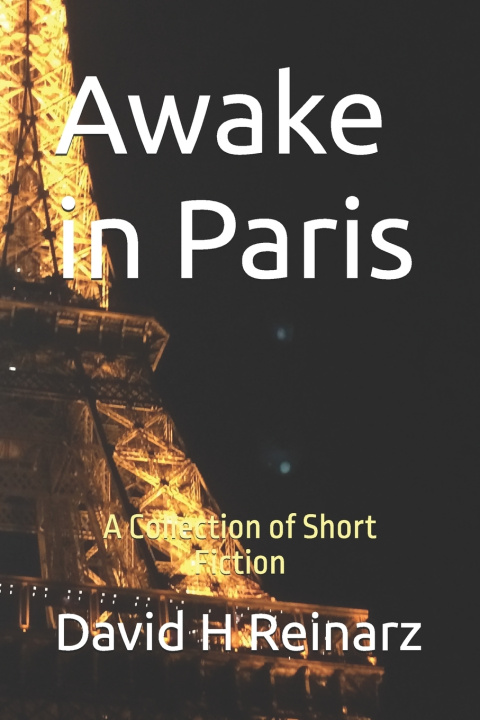 Knjiga Awake in Paris David H Reinarz