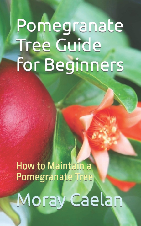 Knjiga Pomegranate Tree Guide for Beginners Moray Caelan