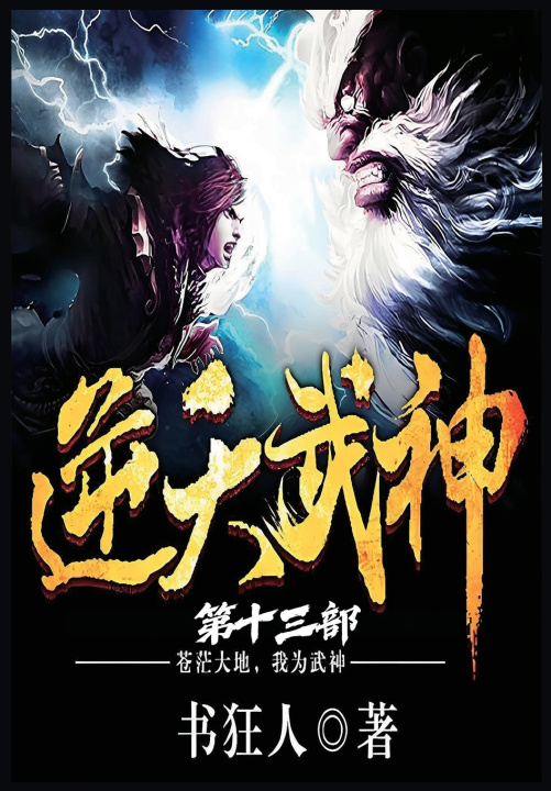 Book 逆天武神：第十三部 书狂人