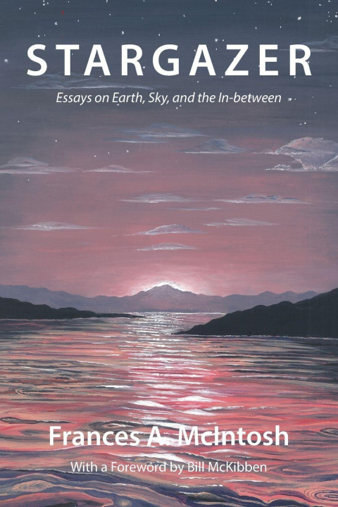 Kniha Stargazer Frances A McIntosh