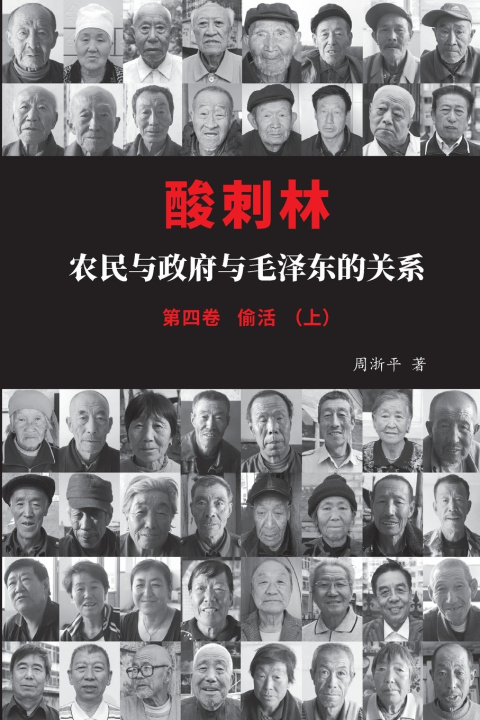 Book 酸刺林：农民与政府与毛泽东的关系（四卷上） 淅平 周