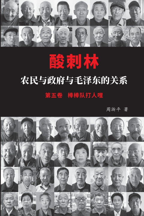 Book 酸刺林：农民与政府与毛泽东的关系（五卷） 淅平 周