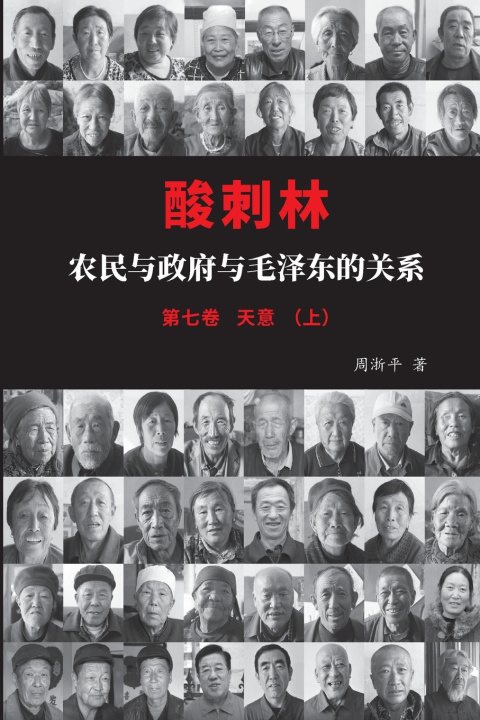 Kniha 酸刺林：农民与政府与毛泽东的关系（七卷上） 淅平 周