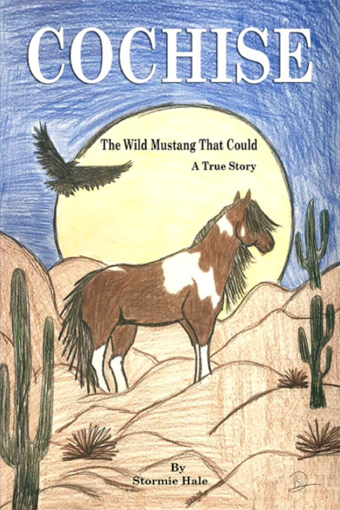 Kniha COCHISE Stormie Hale