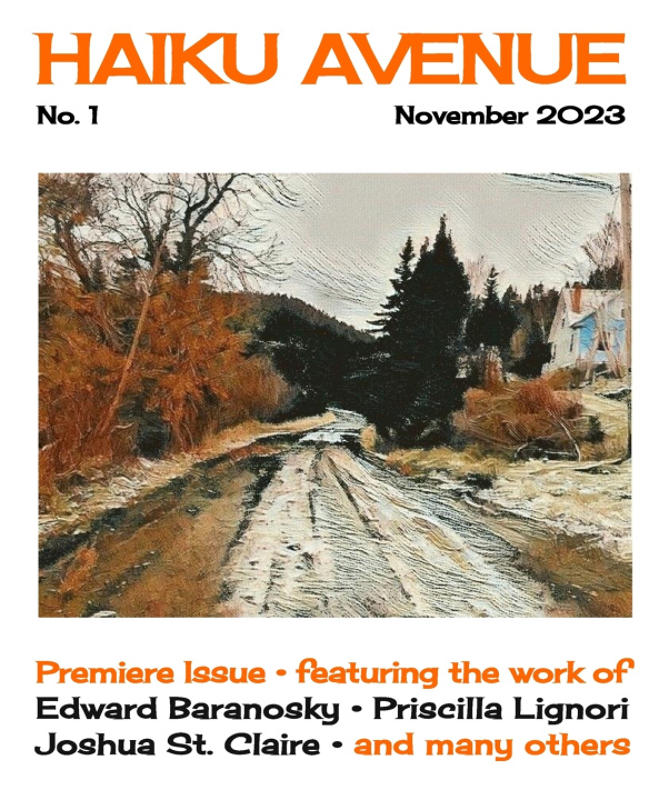 Kniha Haiku Avenue No. 1 Edward Baranosky