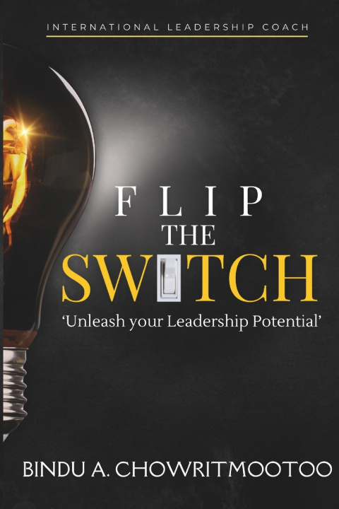 Kniha Flip the Switch Bindu A. Chowritmootoo