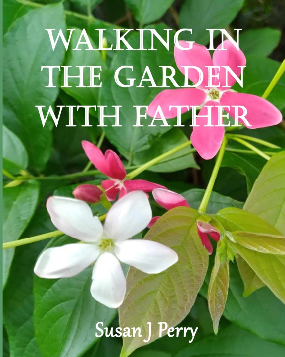 Kniha Walking In The Garden With Father Susan J Perry