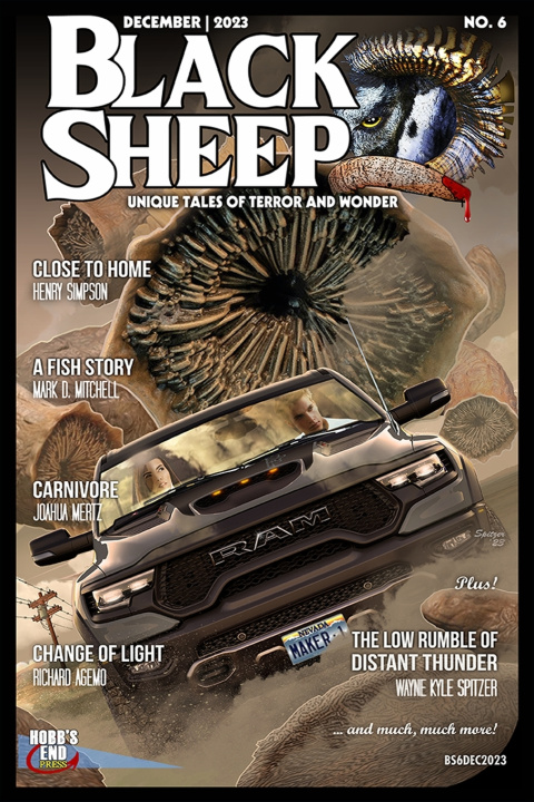 Knjiga Black Sheep Mark Mitchell