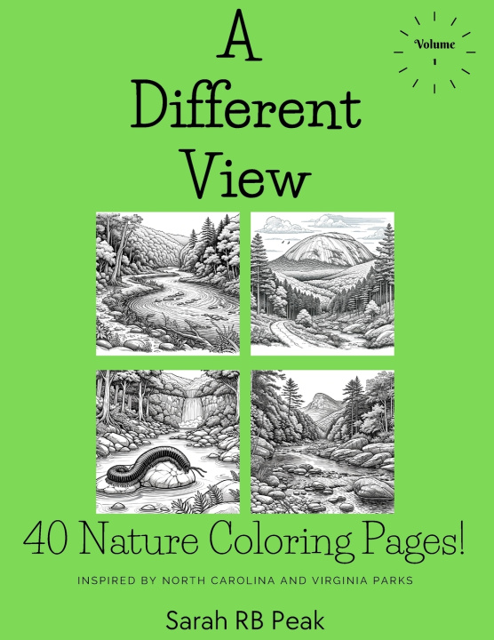 Kniha A Different View Volume One Sarah Raye Peak