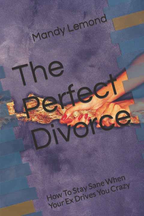 Book The Perfect Divorce Mandy Lemond