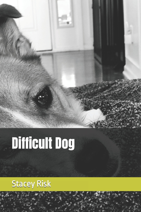 Kniha Difficult Dog Stacey Risk