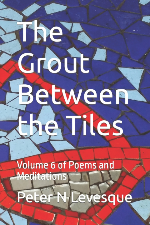 Knjiga The Grout Between the Tiles Peter Norman Levesque