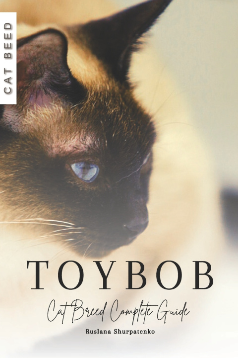 Kniha Toybob Ruslana Shurpatenko