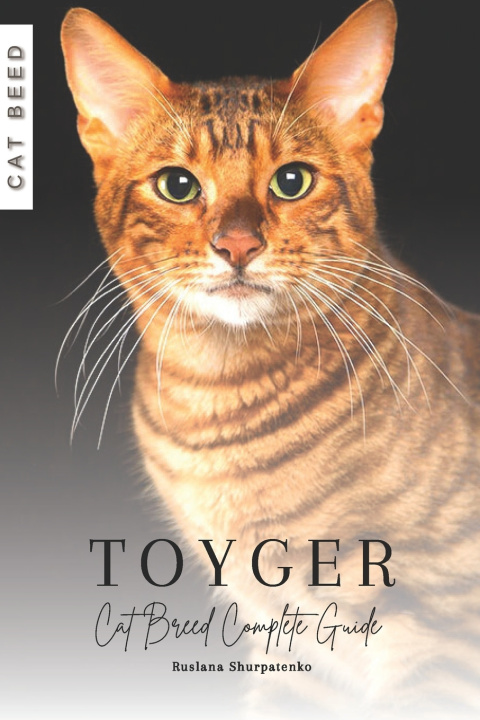 Book Toyger Ruslana Shurpatenko