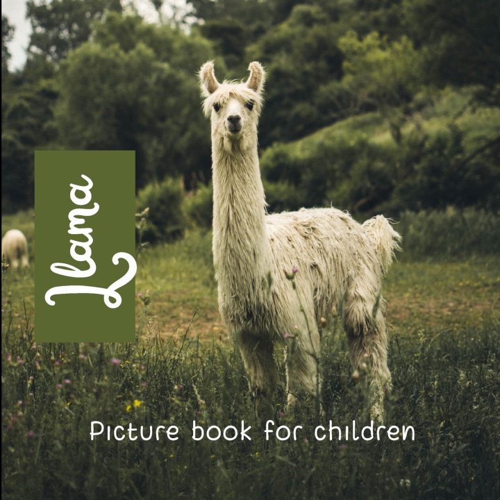 Book Llama Juan Michellana