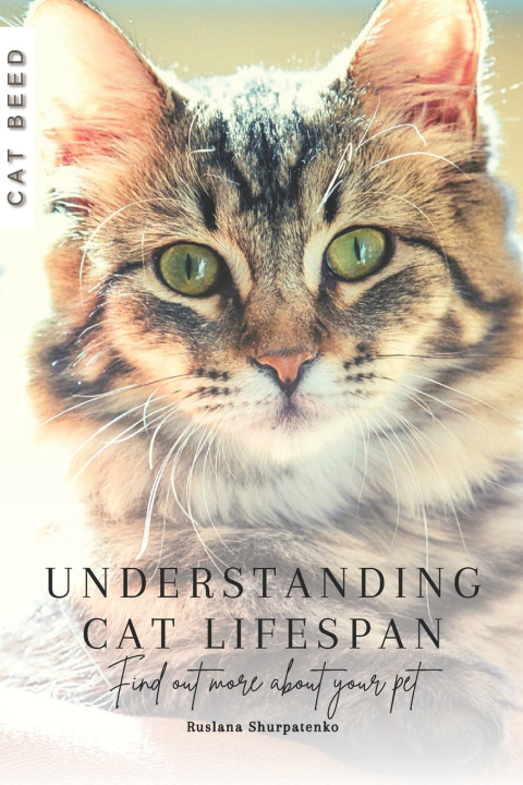Kniha Understanding Cat Lifespan Ruslana Shurpatenko