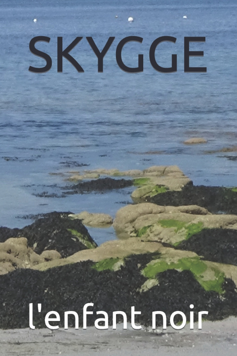 Knjiga SKYGGE l'enfant noir