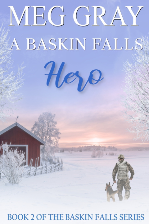 Kniha A Baskin Falls Hero Meg Gray