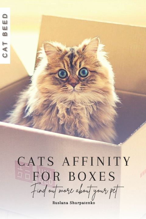 Book Cats Affinity for Boxes Ruslana Shurpatenko