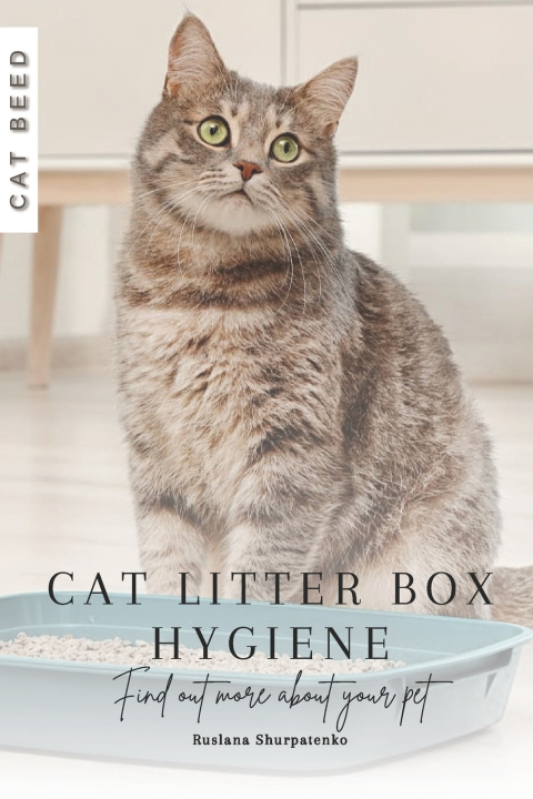 Kniha Cat Litter Box Hygiene Ruslana Shurpatenko
