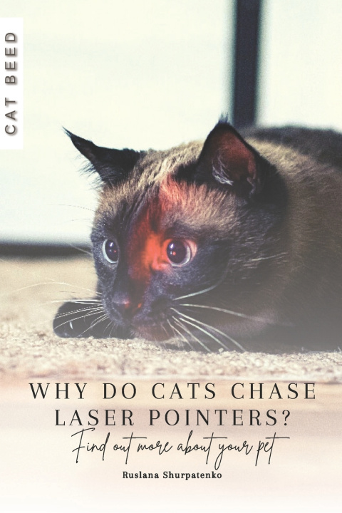 Book Why do cats chase laser pointers? Ruslana Shurpatenko