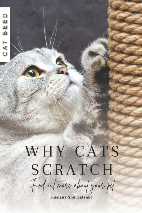 Kniha Why Cats Scratch Ruslana Shurpatenko