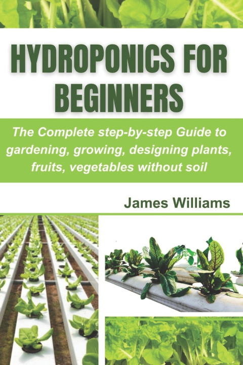 Kniha Hydroponics for Beginners James Williams