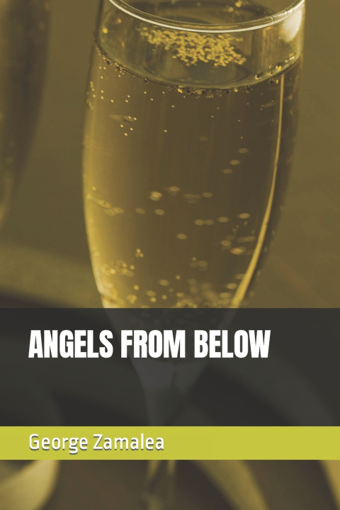 Book ANGELS FROM BELOW George Zamalea