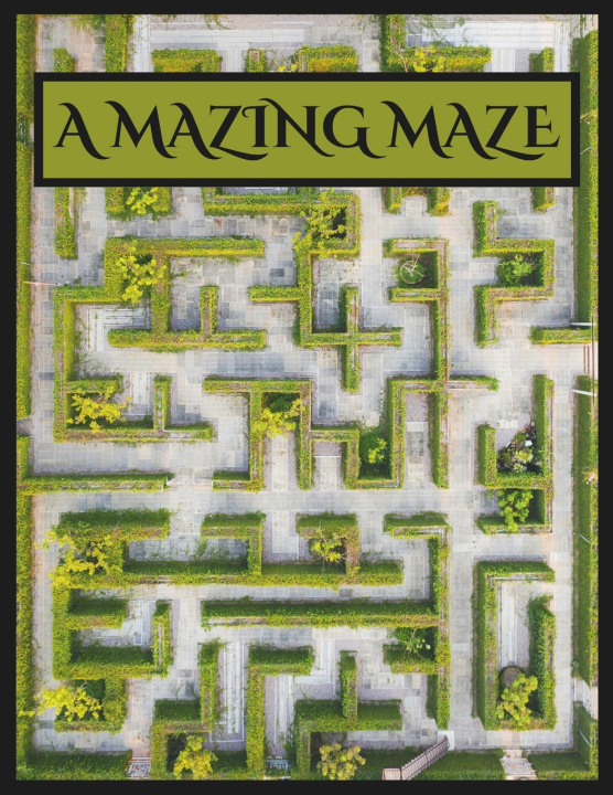 Kniha A Mazing Maze José C. Lefebvre