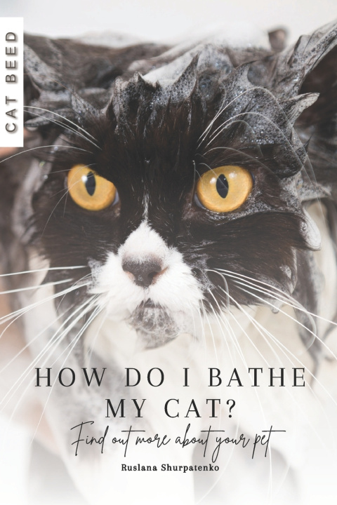 Kniha How do I bathe my cat? Ruslana Shurpatenko