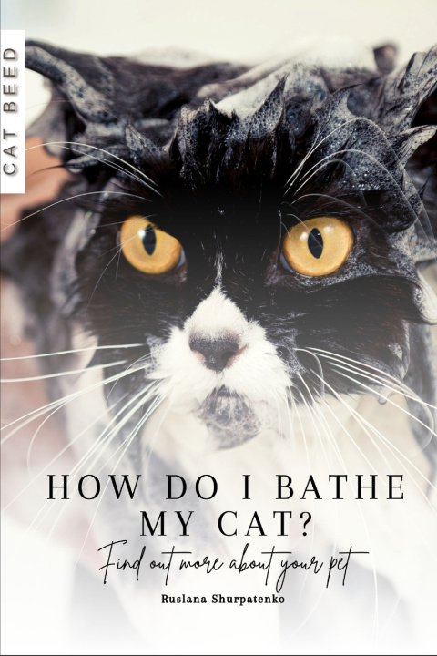 Book How do I bathe my cat? Ruslana Shurpatenko