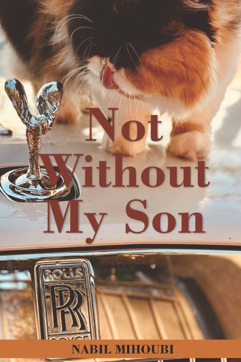 Kniha Not Without My Son Nabil Mihoubi