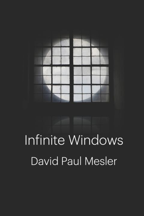 Kniha Infinite Windows David Paul Mesler