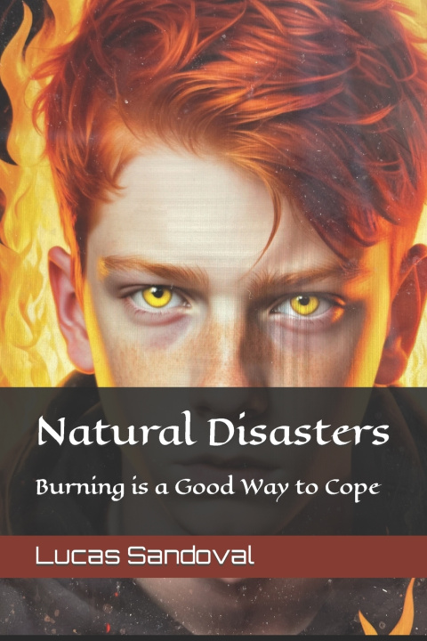 Knjiga Natural Disasters Lucas M Sandoval