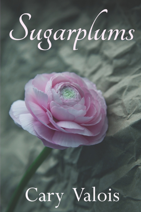 Book Sugarplums Cary Valois