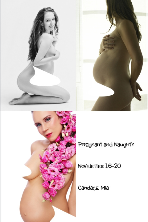 Knjiga Pregnant and Naughty Candace Mia