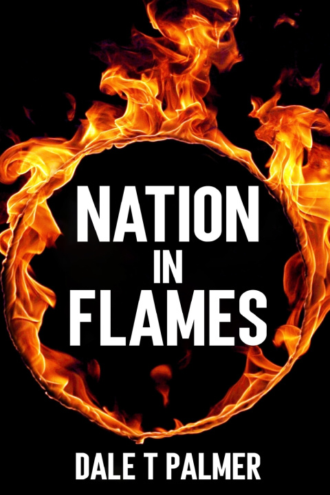 Kniha Nation in Flames Dale T Palmer