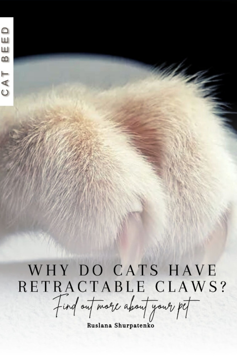 Kniha Why do cats have retractable claws? Ruslana Shurpatenko