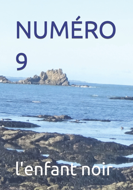 Kniha NUMÉRO 9 l'enfant noir