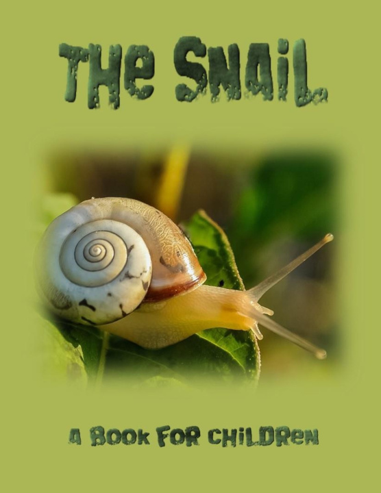 Knjiga The Snail - a book for children Linda Booysen