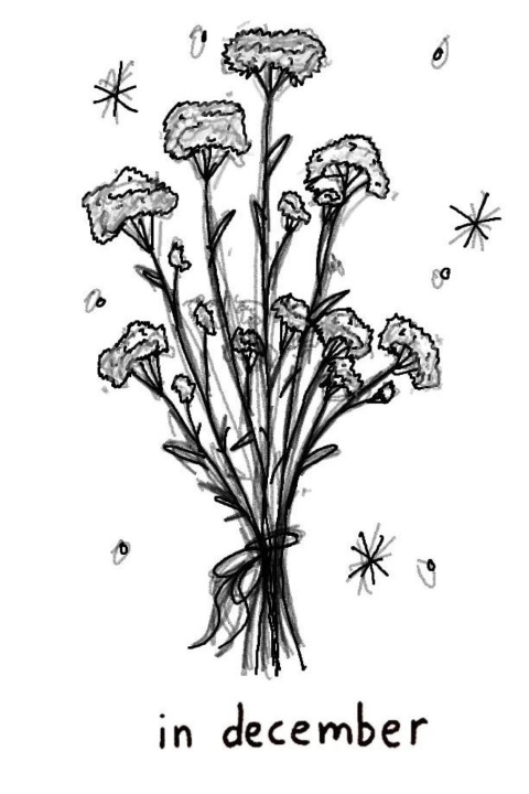 Kniha In December Lara N. Shaw