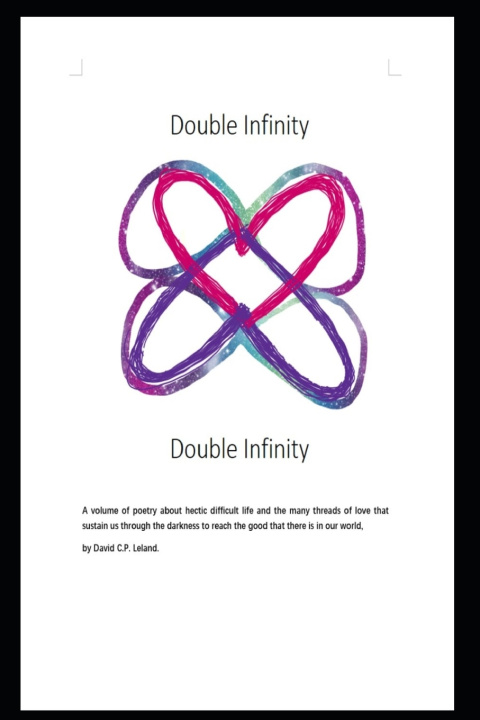 Knjiga Double Infinity David C. P. Leland