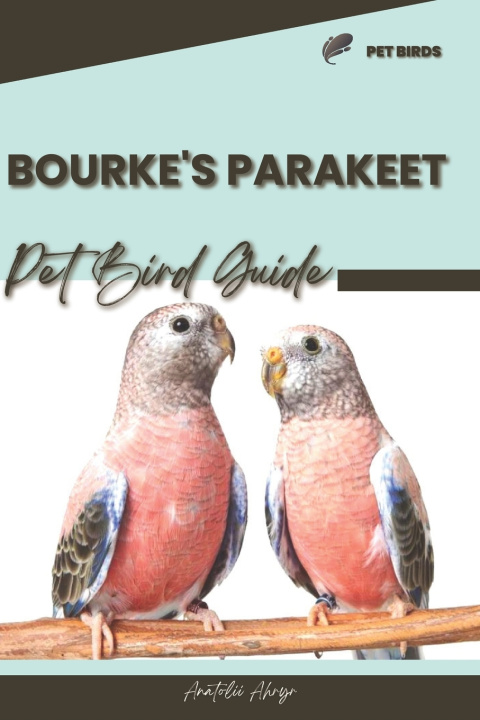 Kniha Bourke's Parakeet Anatolii Ahryr
