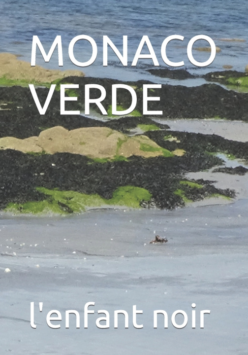 Kniha MONACO VERDE l'enfant noir