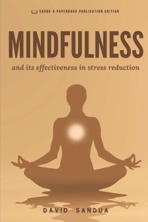 Kniha MINDFULNESS DAVID SANDUA